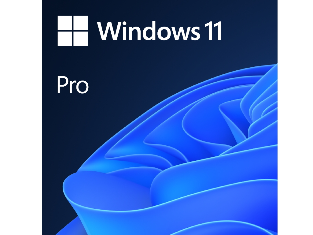 MICROSOFT Windows 11 Pro Eng Intl OEM (FQC-10528)